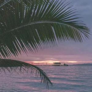 红豆黄色一级视频
